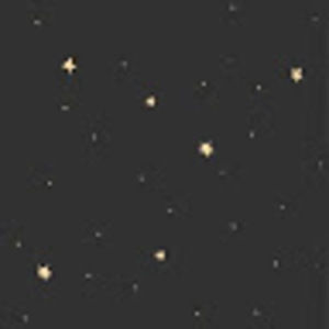 Meet your Posher, Logan